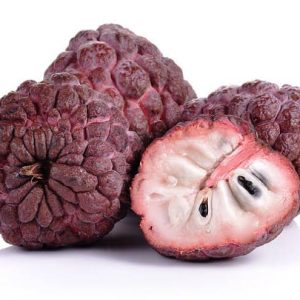 থাই লাল শরিফা গাছ....